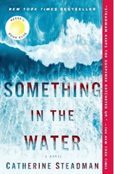 something in the water: a novel  pdf