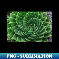 green cactus photography - exclusive sublimation digital file - fashionable and fearless