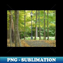 lamppost - png sublimation digital download - unleash your inner rebellion