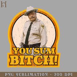 you sumbitch vintage style png download