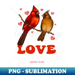Christian Cardinal Love One Another Pretty Valentine Birds - Creative Sublimation PNG Download - Transform Your Sublimation Creations