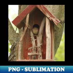 house wren peeking from birdhouse - signature sublimation png file - fashionable and fearless