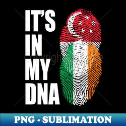 singaporean and irish vintage heritage dna flag - elegant sublimation png download - perfect for sublimation art