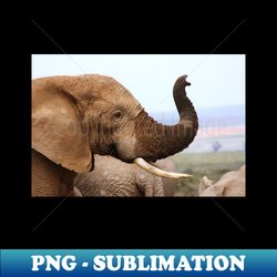 african wildlife photography elephant scents - retro png sublimation digital download - perfect for creative projects