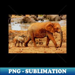 african wildlife photography elephant mother and calf - png transparent sublimation file - fashionable and fearless