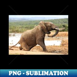 african wildlife photography elephant rising - special edition sublimation png file - fashionable and fearless