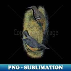 tree creeper and nuthatch - png transparent sublimation file - defying the norms