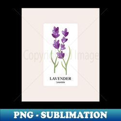 i love lavender - artistic sublimation digital file - spice up your sublimation projects