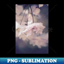 pink blossoms - digital sublimation download file - create with confidence