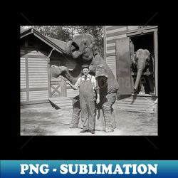 central park zoo elephants 1915 vintage photo - exclusive png sublimation download - capture imagination with every detail