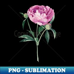 watercolor peony flower - signature sublimation png file - transform your sublimation creations