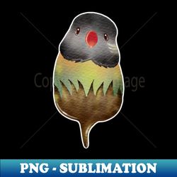 black parrot - premium sublimation digital download - stunning sublimation graphics