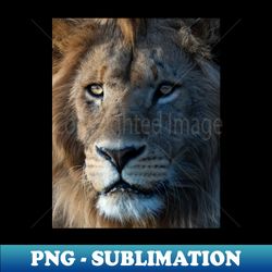 lion - instant png sublimation download - stunning sublimation graphics