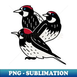 acorn woodpeckers - premium png sublimation file - vibrant and eye-catching typography
