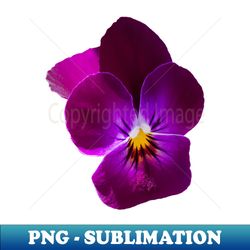 purple violet flower photo - unique sublimation png download