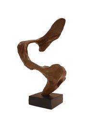 driftood sculpture - riding the wave. oak wood. dimensions: 14.17/9.44/6.29 inch