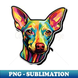 mexican hairless colorful design - png sublimation digital download - stunning sublimation graphics