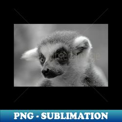 Ring-Tailed Lemur - Instant Sublimation Digital Download - Add a Festive Touch to Every Day