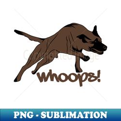Belgian Malinois - High-quality Png Sublimation Download