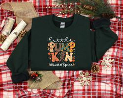 little pumpkin shirt, cute pumpkin sweatshirt, fall sweatshirt, fall lover shirt, fall gift, autumn sweater, women fall