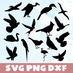bird silhouette svg,png,dxf,bird silhouette svg bundle,png,dxf,vinyl cut file, png, ai printable design files
