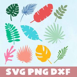 tropic leaves svg,png,dxf, tropic leaves bundle svg,png,dxf,vinyl cut file, png, cricut
