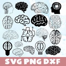 brain svg,png,dxf, brain bundle svg,png,dxf,vinyl cut file,png, cricut