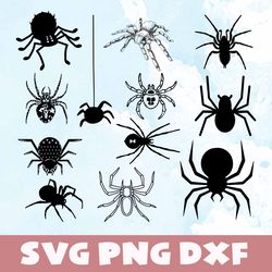 spider svg,png,dxf, spider bundle svg, png,dxf,vinyl cut file,png, cricut