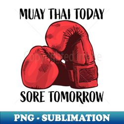 muay thai today - sore tomorrow