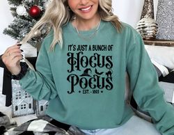 its just a bunch of hocus pocus sweatshirt, gift for witchy women, witch broom shirt, witchy aesthetic, hocus pocus swea