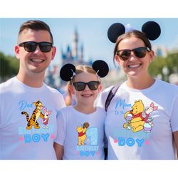 winnie the pooh birthday shirts, pooh birthday matching shirts, pooh bear birthday family matching shirts