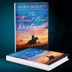 the sweet blue distance by sara donati