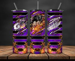 baltimore ravens football team 20oz skinny tumbler