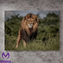 lion canvas wall art,wildlife paintings,predator art,canvas prints,predator prints,great for lion decoration and wildlif