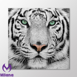 white tiger canvas wall art, animal art print, wild animal home decoration, ready to hang, black and white extra large c