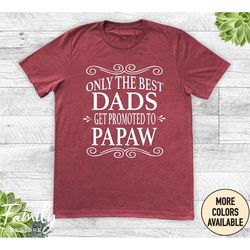 only the best dads get promoted to papaw unisex shirt - papaw shirt - papaw gift - father's day gift
