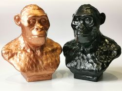 australopithecus africanus bust, 3d printed australopithecus afar sculptural reconstruction, museum quality