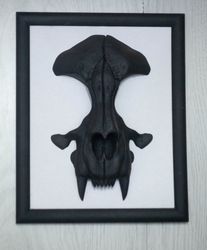 wall-mounted sculpture with cat skull, framed skull, black and white minimalism, wall sculpture, frame art, faux cat sku