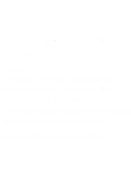 funny definitionlabor and delivery nurse