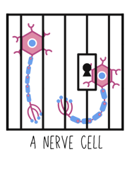 nerve cell neuron neuroscience puns funny science jokes