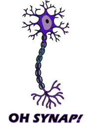 neuronoh snap!science pun