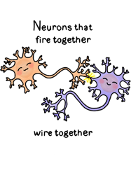 neurons (1)