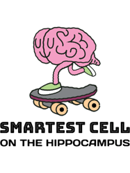 smartest cell on the hippocampus neuroscience pun graphic