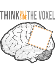 think outside the voxel