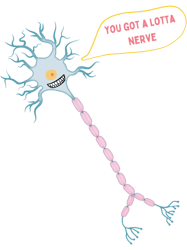 you got a lotta nerve neuron