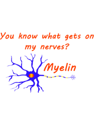 you know what gets on my nerves myelin