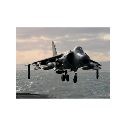 sea harrier hovering