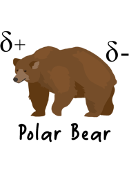 chemistry polar bear