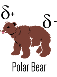 polar bear(6)