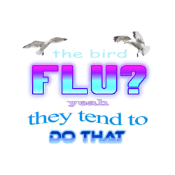 the bird flu yeah they tend to do that